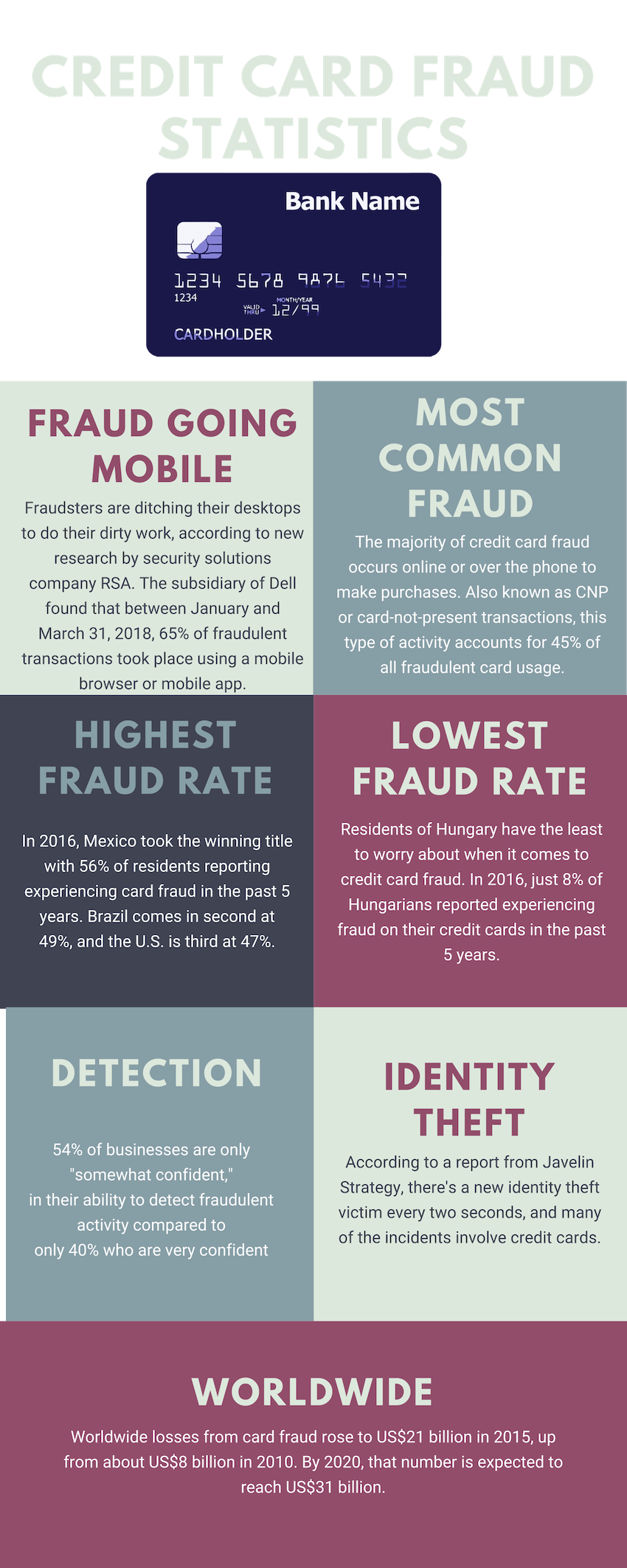 Credit card fraud infographics